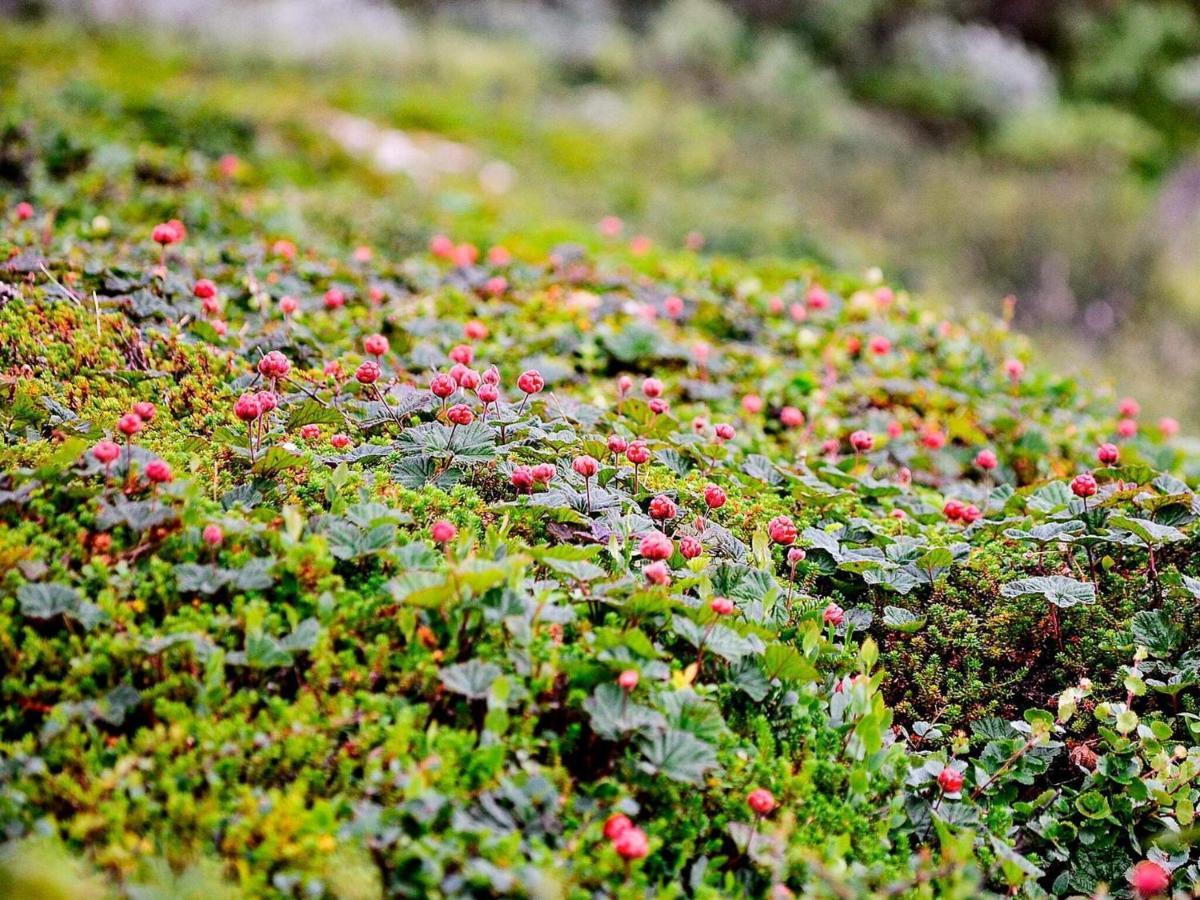 Holiday Home Roerbaecksnaes Rorbacksnas エクステリア 写真